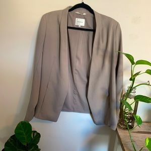 Aritzia Babaton Blazer